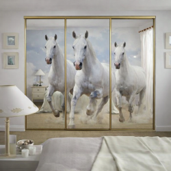  Двери купе с фотопечатью А-22